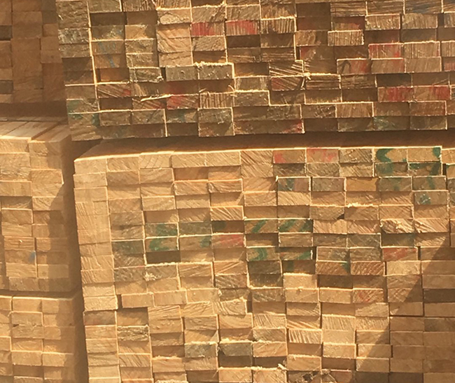 赛罕新西兰进口松木